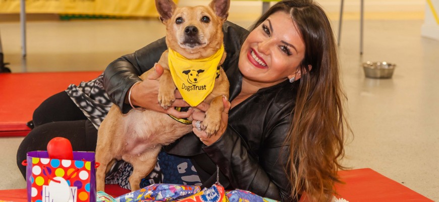 manchester-dogs-trust